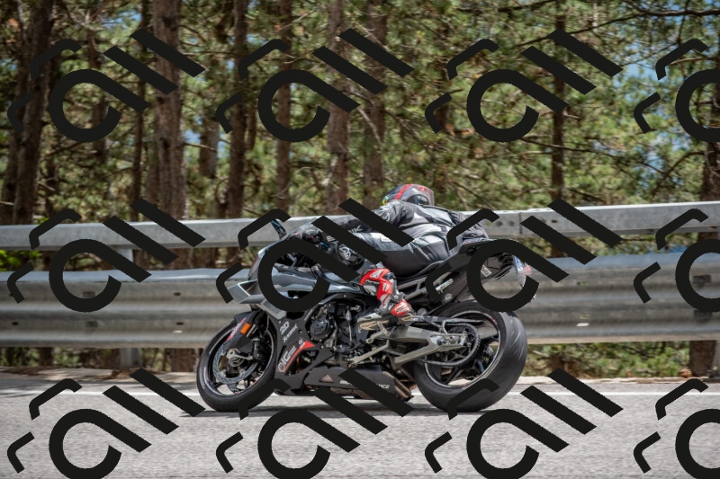 202506011444-DSC_6452_c4_