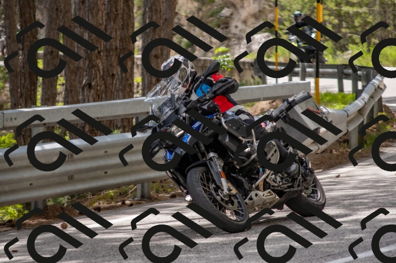 202506011445-DSC_6453_c4_