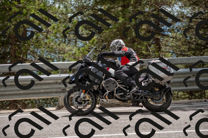 202506011445-DSC_6455_c4_