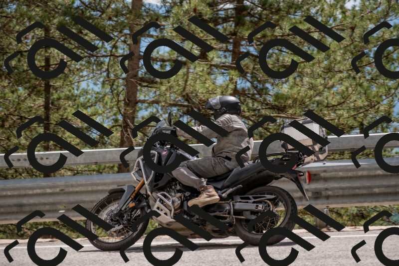 202506011445-DSC_6464_c4_