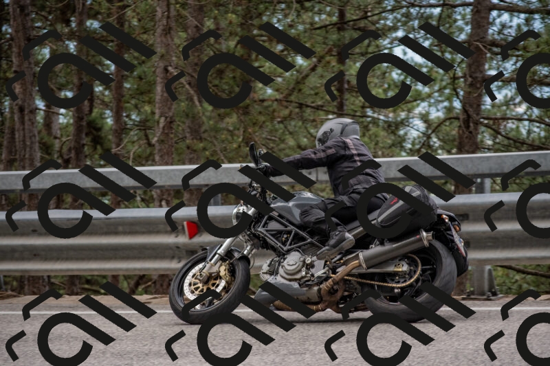 202506011449-DSC_6467_c4_