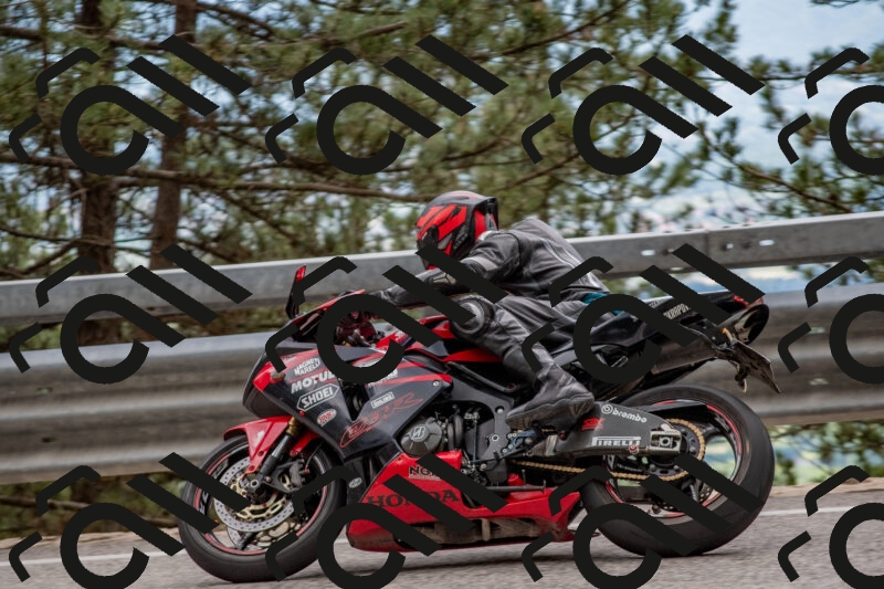 202506011450-DSC_6481_c4_