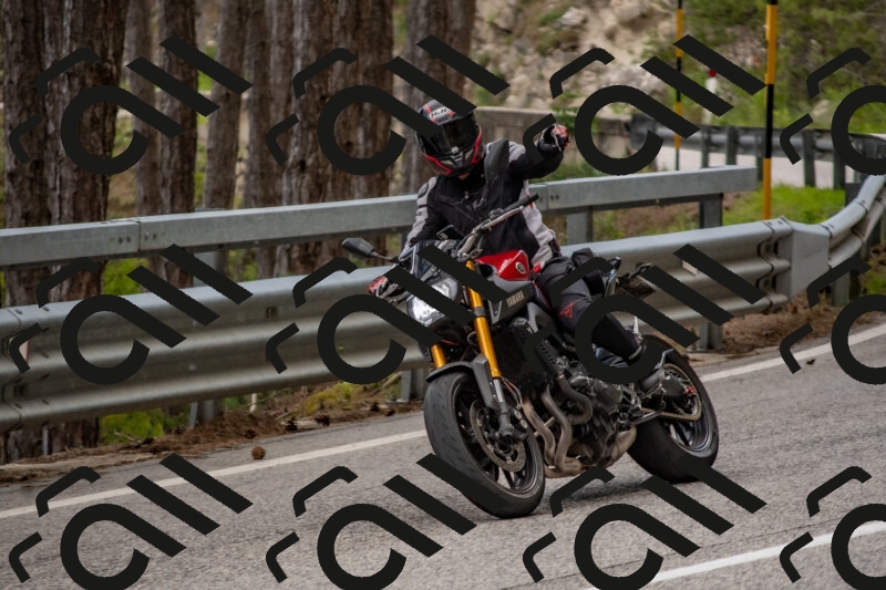 202506011451-DSC_6491_c4_