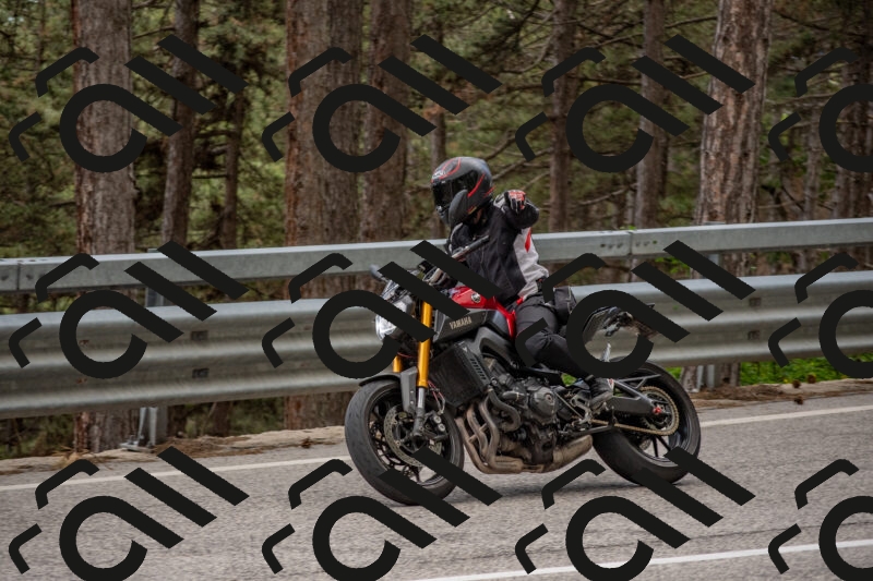 202506011451-DSC_6492_c4_