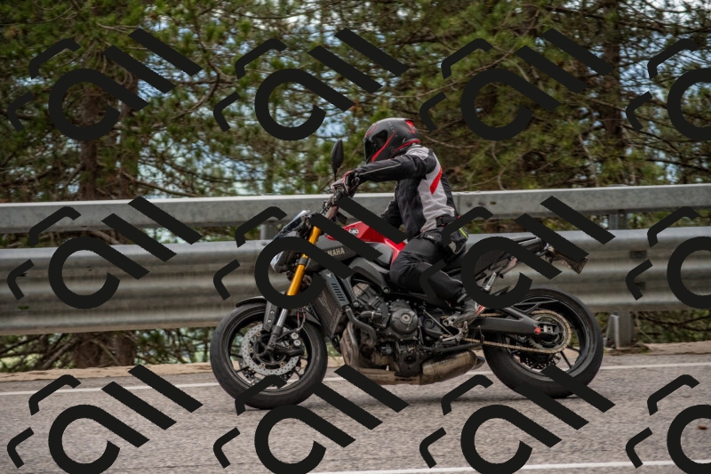 202506011451-DSC_6493_c4_