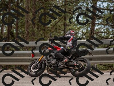 202506011451-DSC_6494_c4_