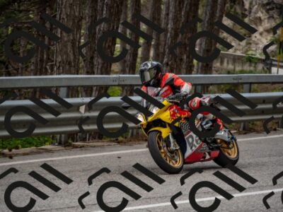 202506011451-DSC_6495_c4_