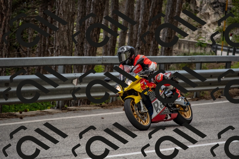 202506011451-DSC_6495_c4_