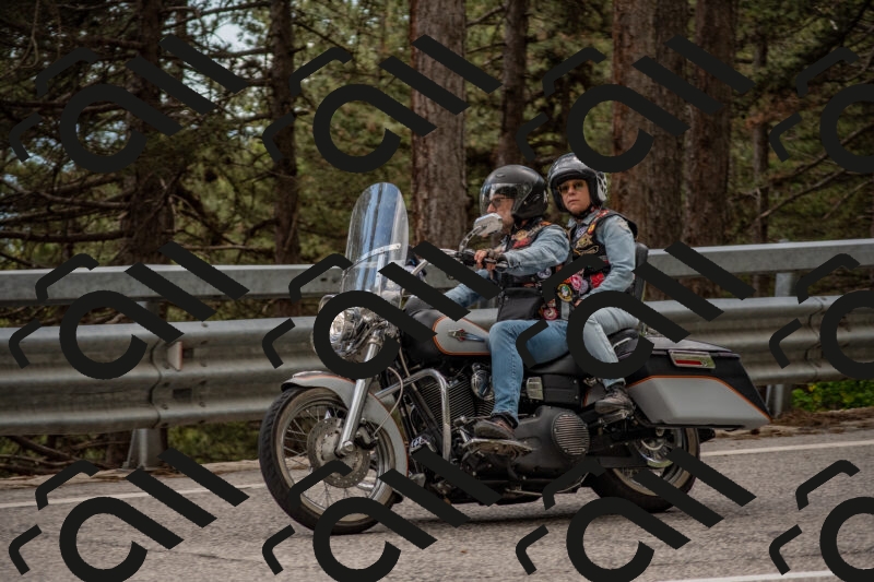 202506011451-DSC_6499_c4_