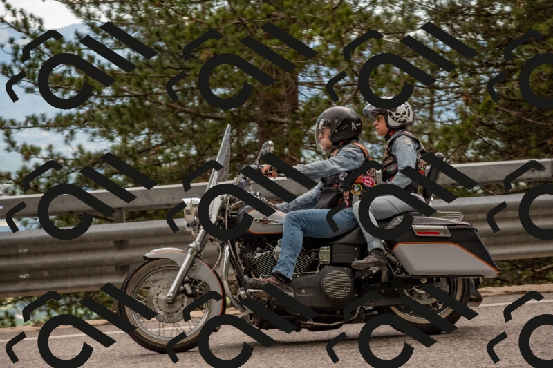 202506011451-DSC_6500_c4_