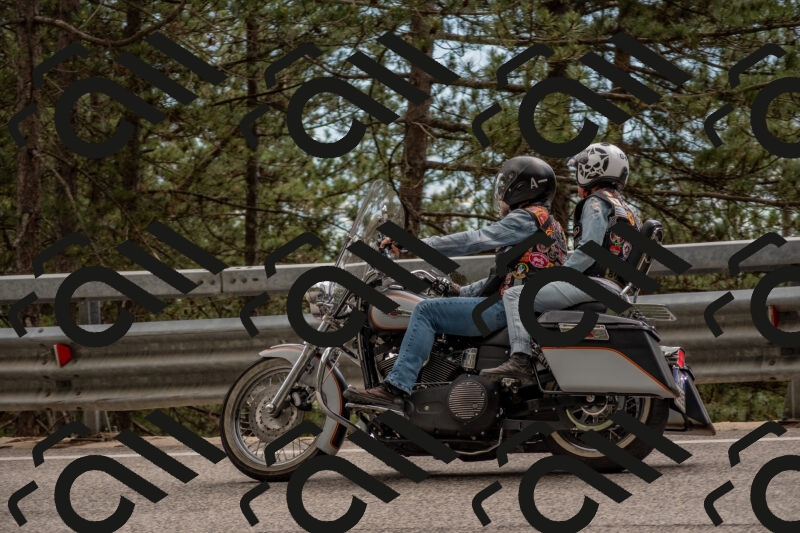 202506011451-DSC_6501_c4_