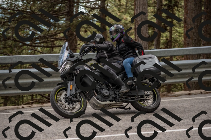 202506011452-DSC_6506_c4_