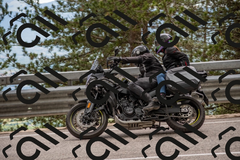 202506011452-DSC_6507_c4_