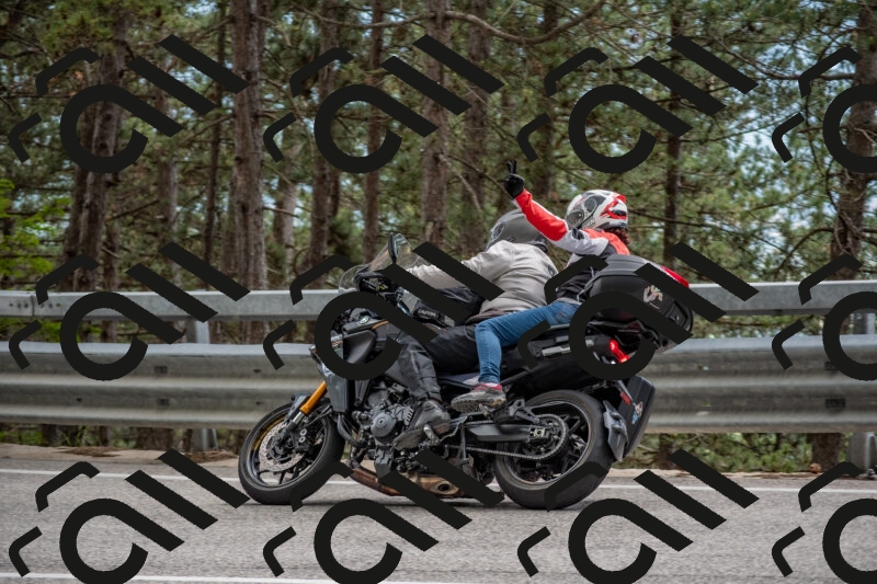 202506011452-DSC_6510_c4_