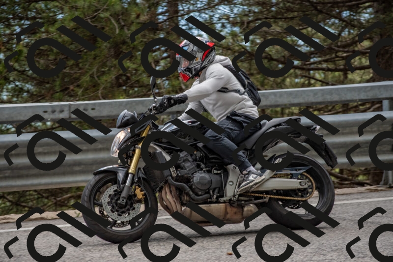 202506011452-DSC_6512_c4_