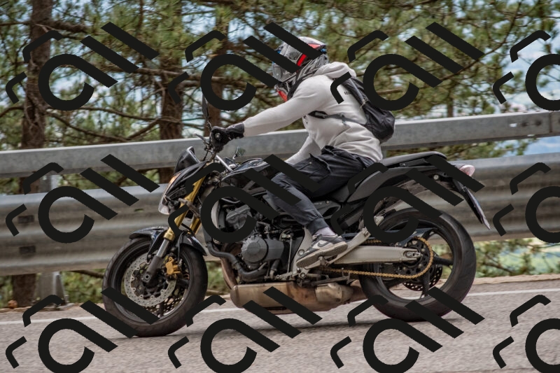 202506011452-DSC_6513_c4_