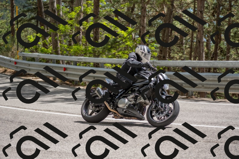 202506011453-DSC_6514_c4_