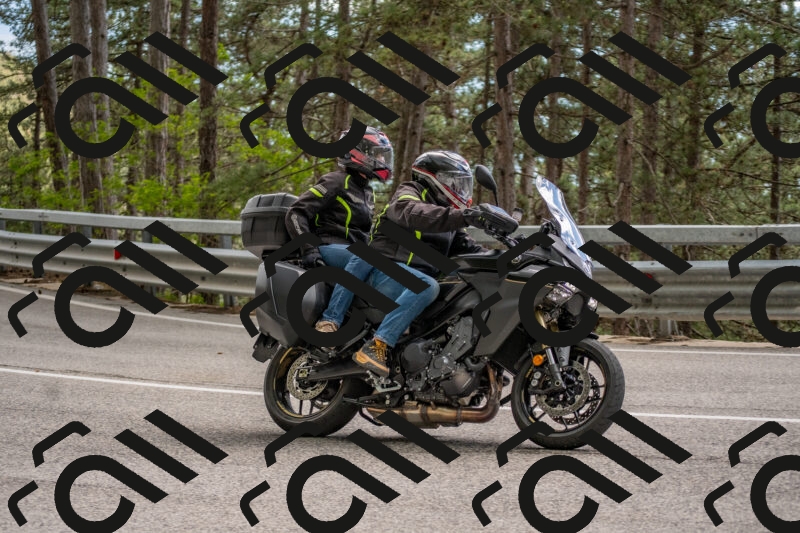 202506011458-DSC_6518_c4_