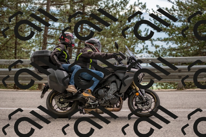 202506011458-DSC_6519_c4_