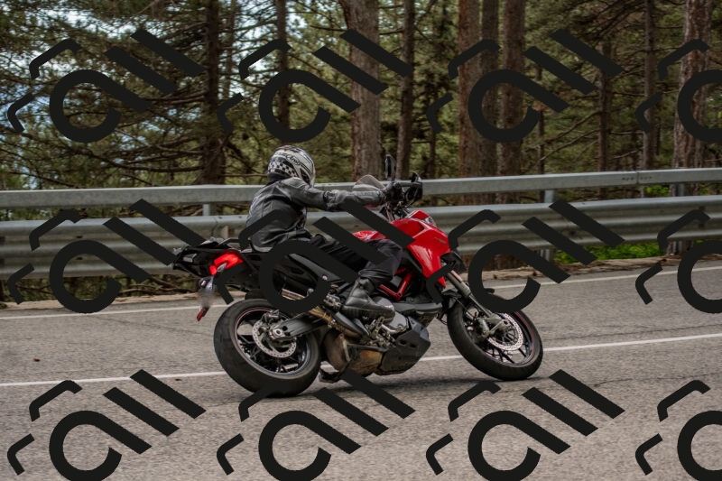 202506011459-DSC_6522_c4_