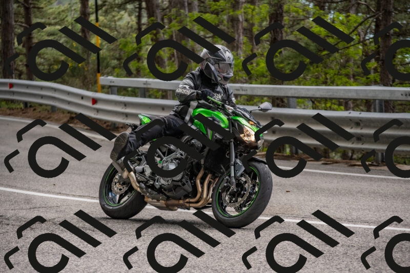 202506011459-DSC_6524_c4_