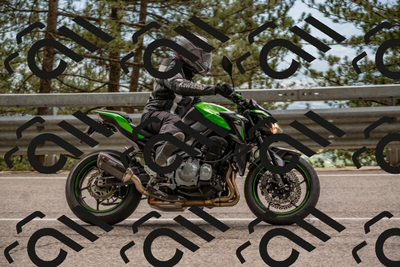 202506011459-DSC_6525_c4_