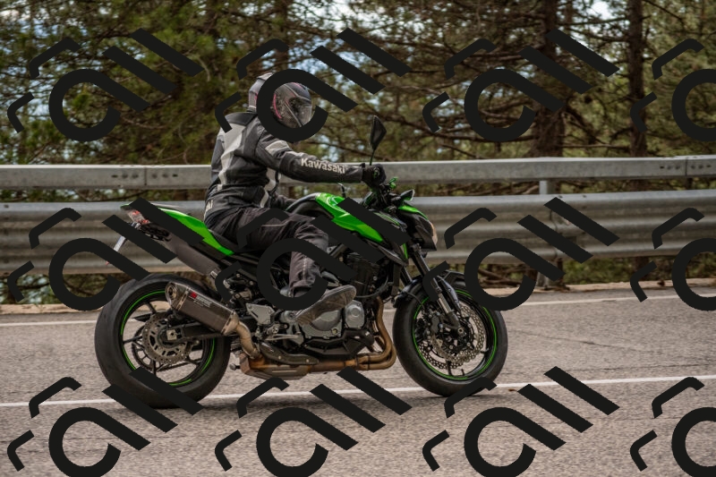 202506011459-DSC_6526_c4_