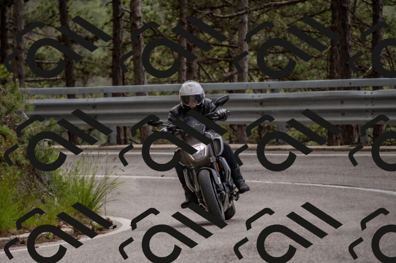 202506011500-DSC_6527_c4_