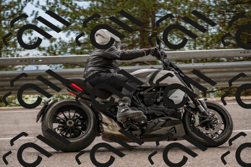 202506011500-DSC_6530_c4_