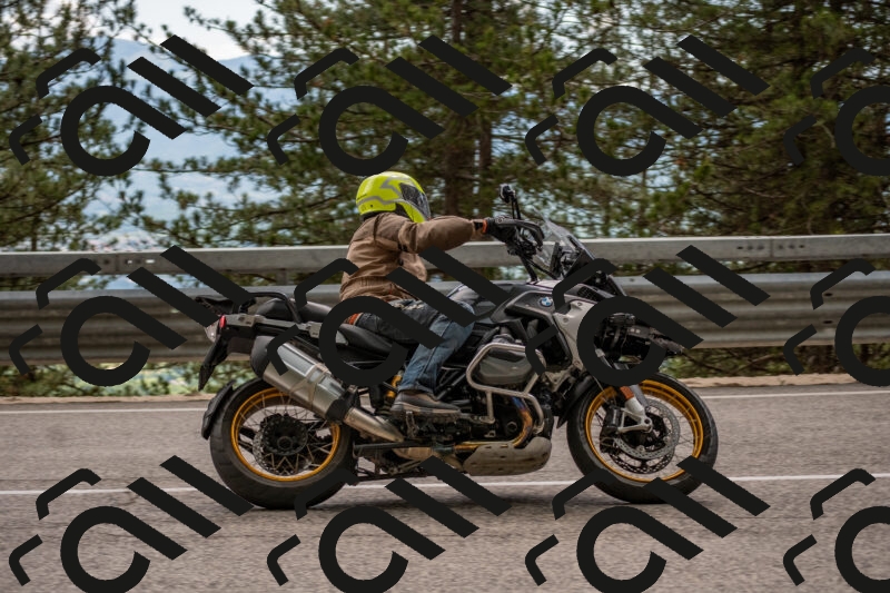 202506011500-DSC_6535_c4_