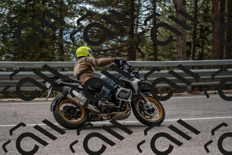 202506011500-DSC_6536_c4_