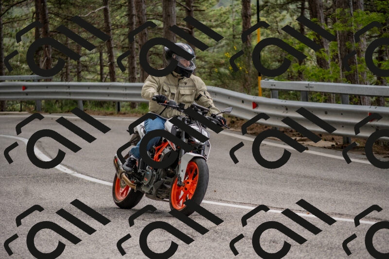 202506011500-DSC_6537_c4_