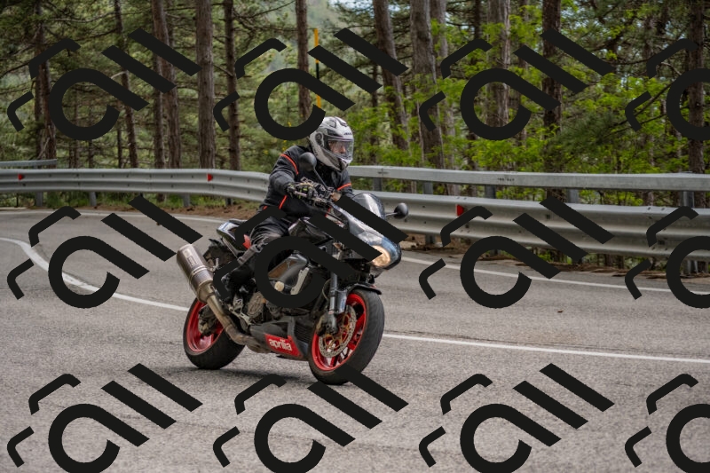 202506011500-DSC_6538_c4_