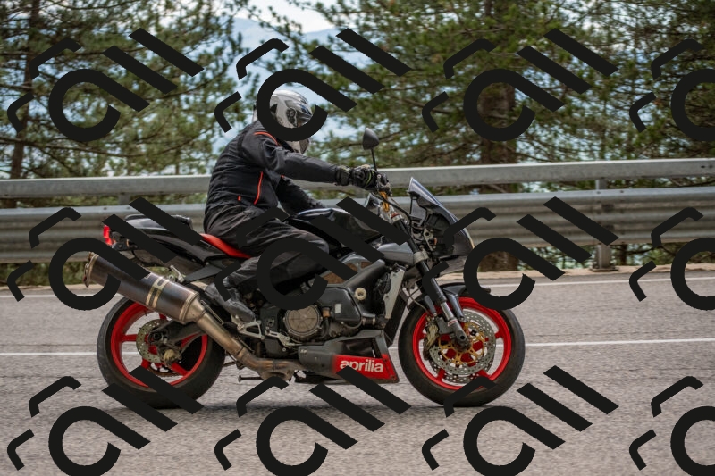 202506011500-DSC_6539_c4_