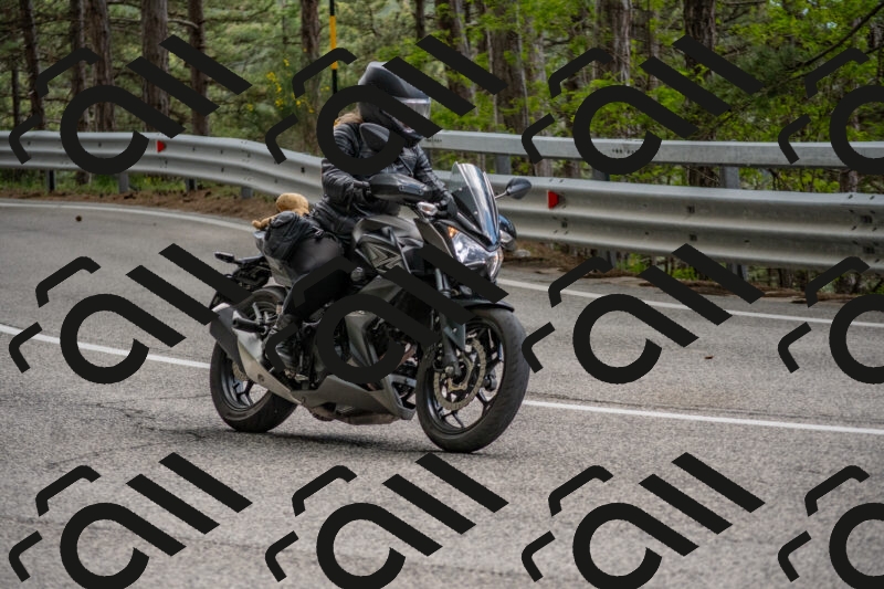 202506011501-DSC_6547_c4_