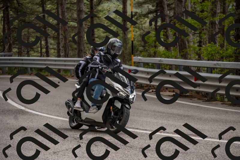 202506011502-DSC_6553_c4_