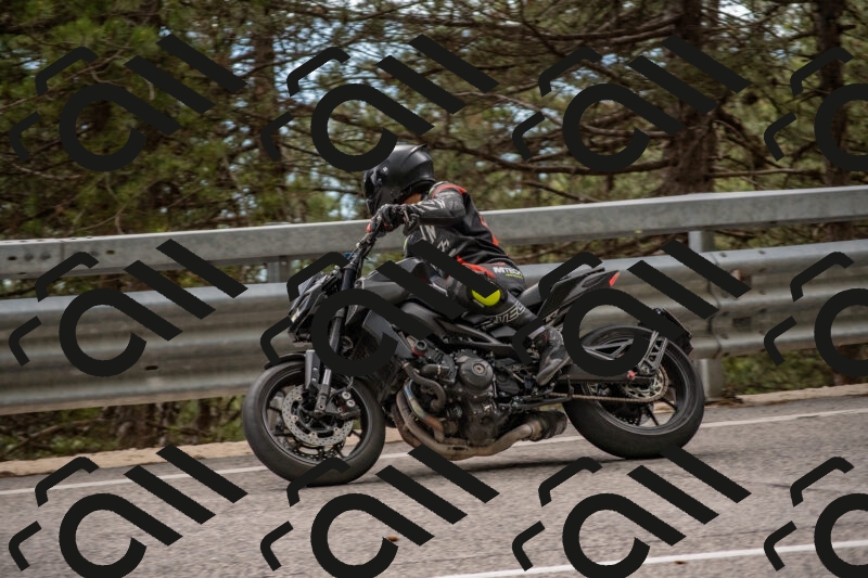 202506011502-DSC_6557_c4_