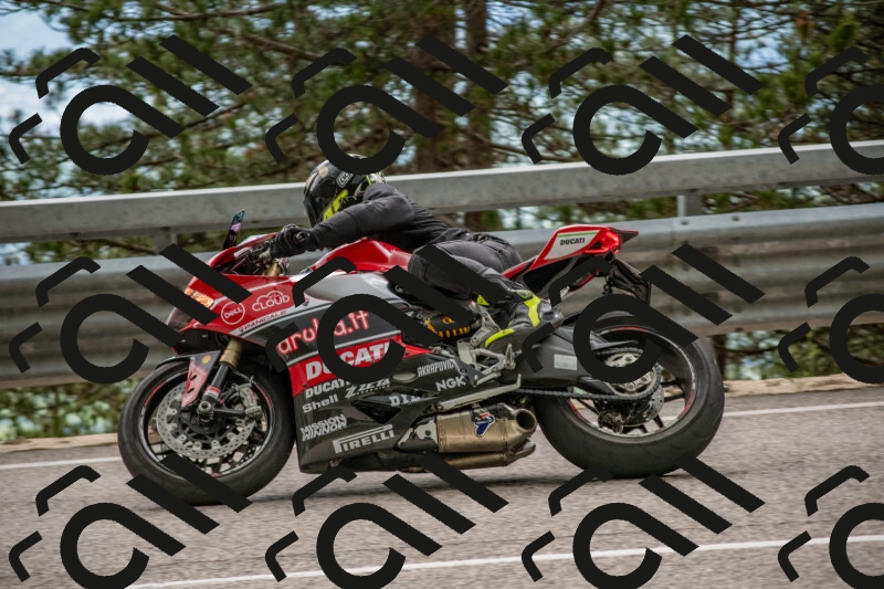 202506011502-DSC_6559_c4_