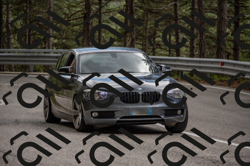 202506011502-DSC_6561_c4_