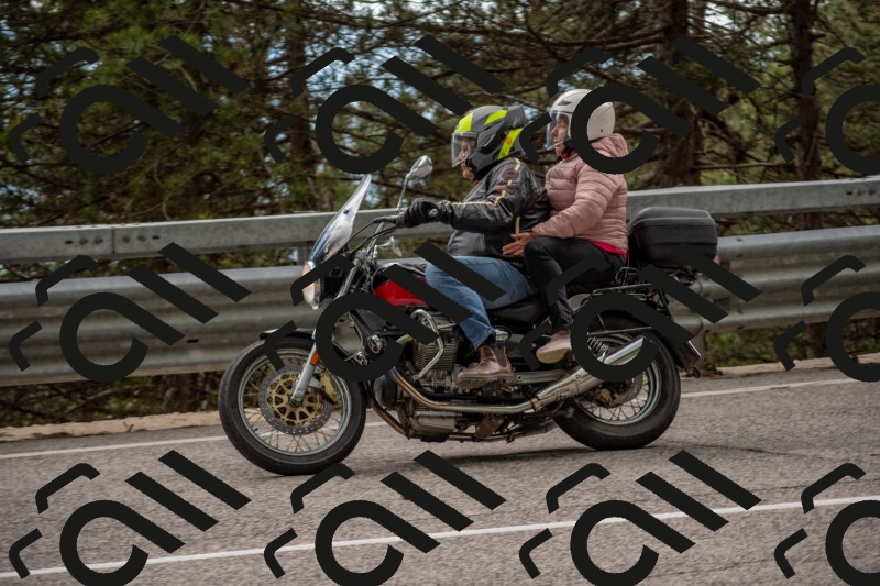 202506011503-DSC_6563_c4_