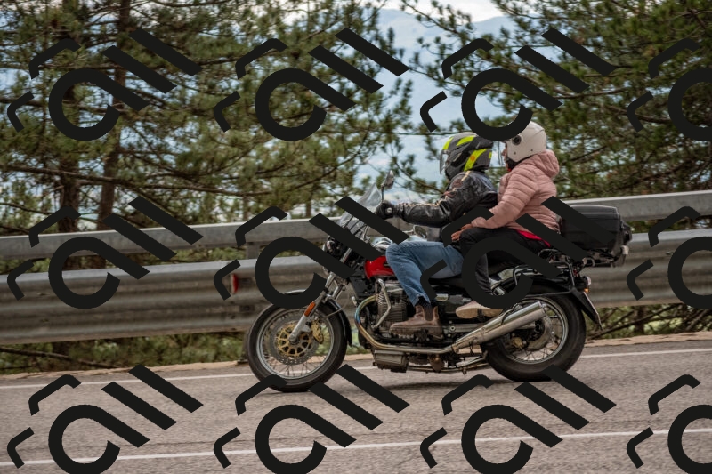 202506011503-DSC_6564_c4_