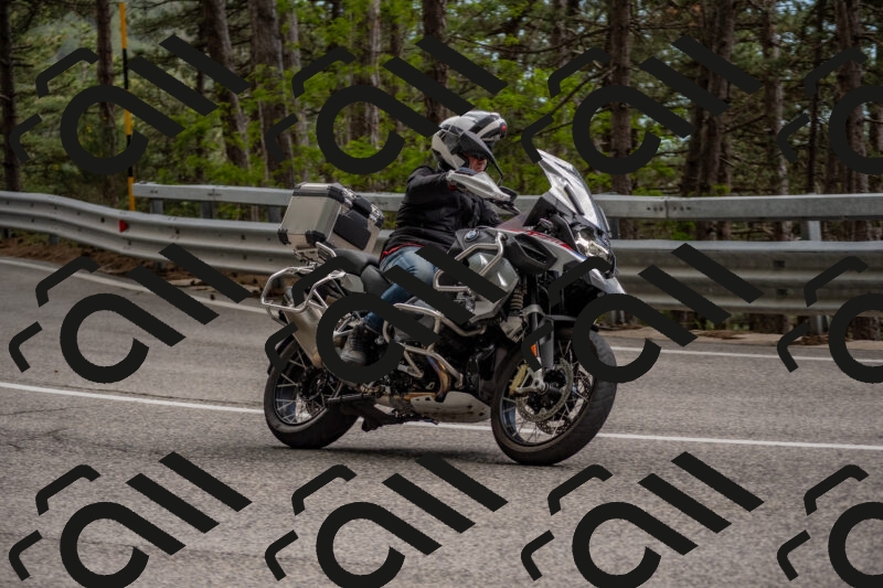 202506011503-DSC_6566_c4_