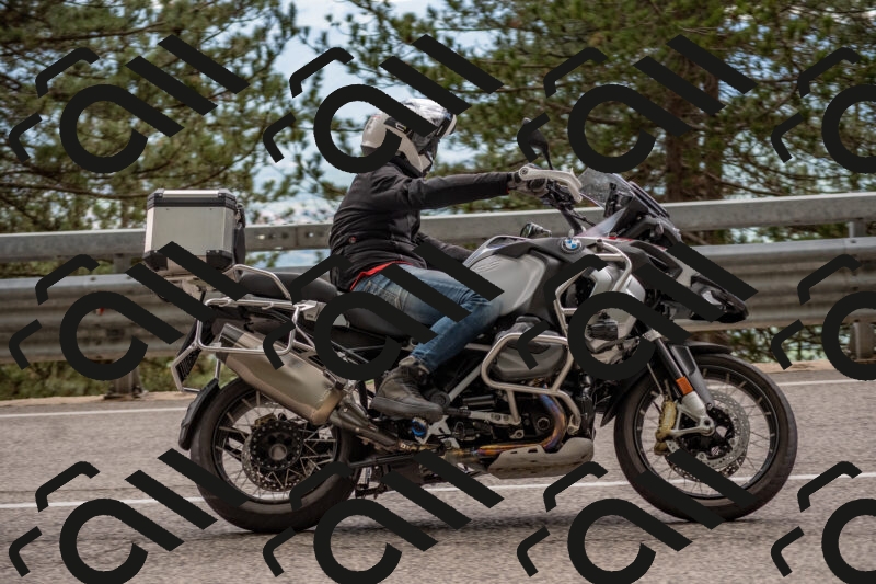 202506011503-DSC_6567_c4_