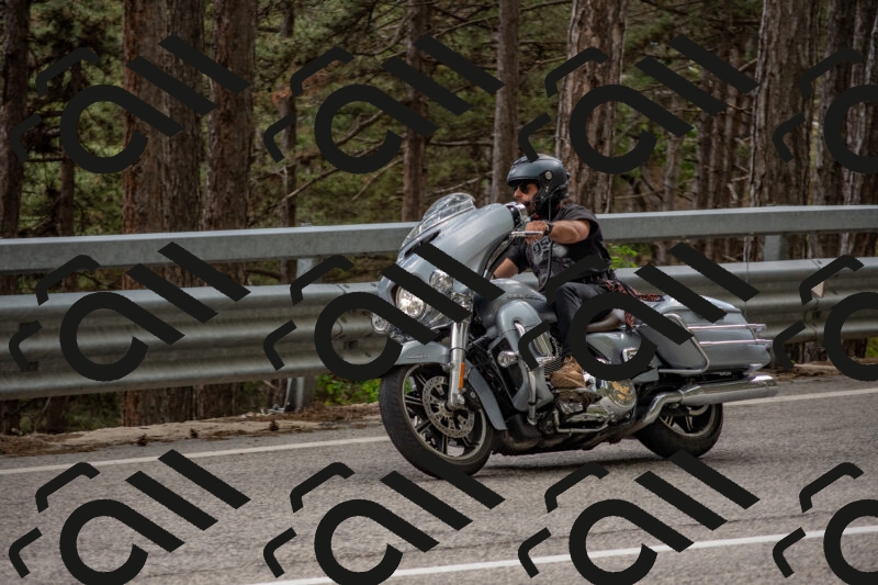 202506011504-DSC_6579_c4_