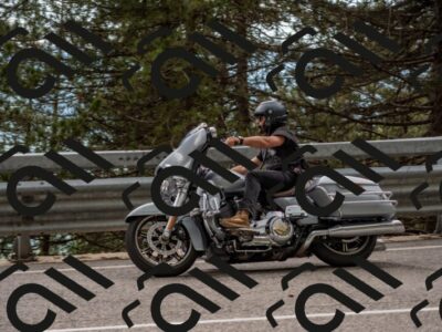 202506011504-DSC_6580_c4_