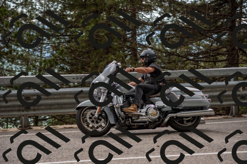 202506011504-DSC_6580_c4_