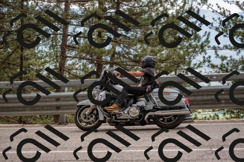 202506011504-DSC_6581_c4_