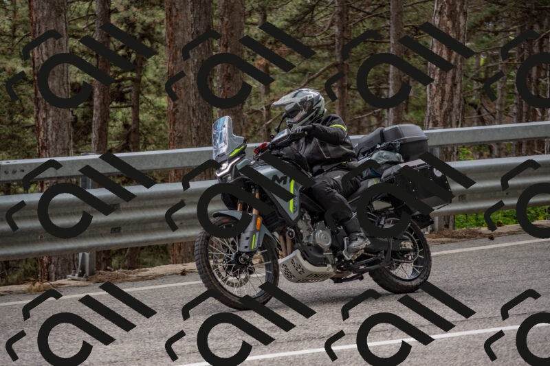 202506011505-DSC_6582_c4_