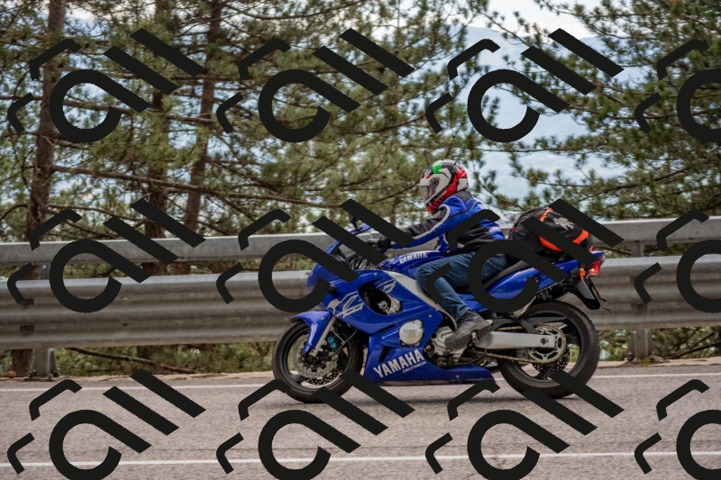 202506011505-DSC_6585_c4_