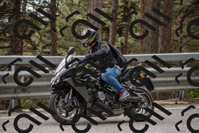 202506011505-DSC_6586_c4_